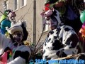 Bild066